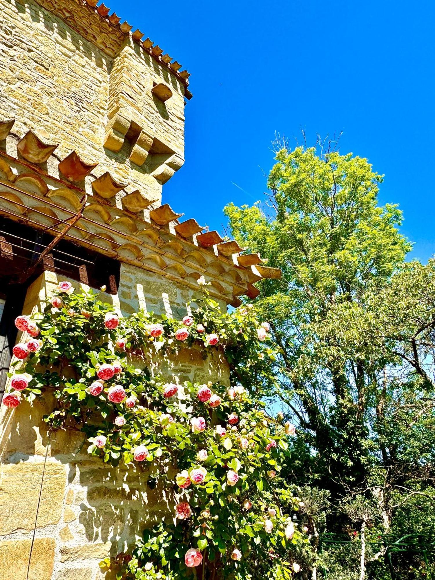 Castelreng Chateau De Tournou מראה חיצוני תמונה